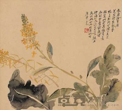 吴熙载 庚申（1860年）作 菜花图 片 32×35cm